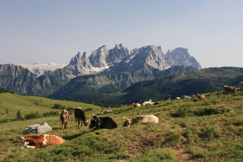 Hotel Stella Alpina Фалкаде Екстериор снимка