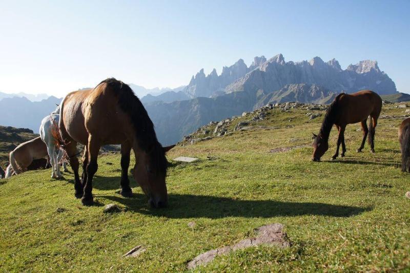 Hotel Stella Alpina Фалкаде Екстериор снимка